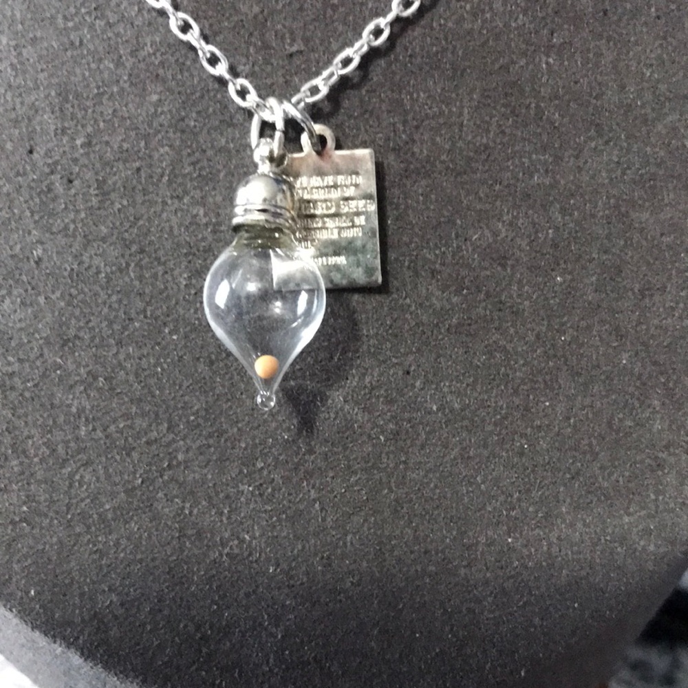 Faith of a Mustard Seed Charm Necklace in Silver